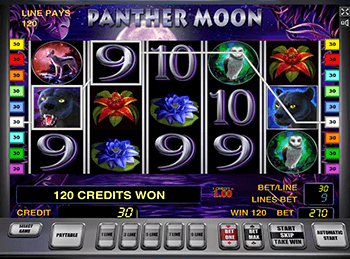 В казино Вулкан Делюкс Panther Moon
