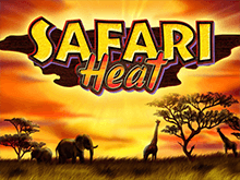 В Вулкане 24 автоматы Safari Heat