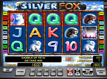 В Вулкане 24 автоматы Silver Fox